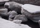 Les glaces sur les berges du  St-Laurent - photo Cristine Bath