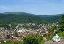 Pigeon  Guebwiller, vue sur la ville