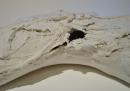 Matire  paysage - Fabienne Trotte - photo Irne Naudin-Mascret