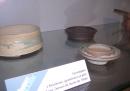 Céramiques à kusamono (graminées en pot - bonsai de moins de 10 cm) - photo IEAC