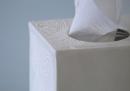 Atelier Envol Cration - collection  fleur de dentelle - porcelaine - photo Marylne Swietek