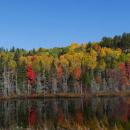 Entre Tadoussac et la Malbaie - photo Josphine Viot